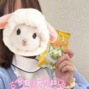 ヒメ日記 2025/04/11 09:23 投稿 しずく 熊本しこたまクリニック