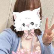 ヒメ日記 2025/04/12 09:30 投稿 しずく 熊本しこたまクリニック