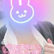 ヒメ日記 2025/04/13 13:31 投稿 しずく 熊本しこたまクリニック