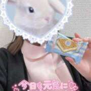 ヒメ日記 2025/04/15 12:57 投稿 しずく 熊本しこたまクリニック