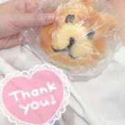 ヒメ日記 2025/04/27 19:20 投稿 しずく 熊本しこたまクリニック