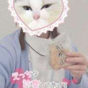 ヒメ日記 2025/05/03 18:50 投稿 しずく 熊本しこたまクリニック