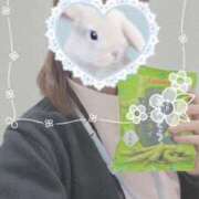 ヒメ日記 2025/05/04 12:30 投稿 しずく 熊本しこたまクリニック