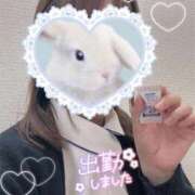 ヒメ日記 2025/05/23 19:20 投稿 しずく 熊本しこたまクリニック