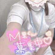 ヒメ日記 2025/05/24 13:20 投稿 しずく 熊本しこたまクリニック