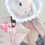 ヒメ日記 2025/06/28 13:30 投稿 しずく 熊本しこたまクリニック