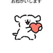 ヒメ日記 2025/07/01 10:35 投稿 しずく 熊本しこたまクリニック