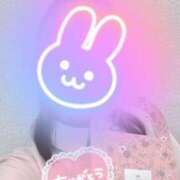 ヒメ日記 2025/07/02 17:50 投稿 しずく 熊本しこたまクリニック