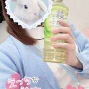 ヒメ日記 2025/07/27 09:50 投稿 しずく 熊本しこたまクリニック