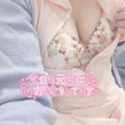 ヒメ日記 2025/08/14 10:20 投稿 しずく 熊本しこたまクリニック