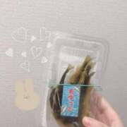 ヒメ日記 2025/09/24 10:20 投稿 しずく 熊本しこたまクリニック