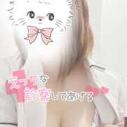 ヒメ日記 2025/10/19 09:50 投稿 しずく 熊本しこたまクリニック