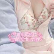 ヒメ日記 2025/10/21 18:30 投稿 しずく 熊本しこたまクリニック