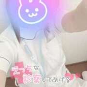 ヒメ日記 2025/11/01 18:30 投稿 しずく 熊本しこたまクリニック