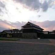 ヒメ日記 2025/11/02 13:50 投稿 しずく 熊本しこたまクリニック