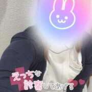 ヒメ日記 2025/11/14 10:20 投稿 しずく 熊本しこたまクリニック