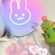 ヒメ日記 2025/11/21 23:20 投稿 しずく 熊本しこたまクリニック