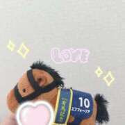 ヒメ日記 2025/11/23 15:01 投稿 しずく 熊本しこたまクリニック