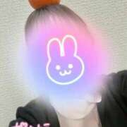 ヒメ日記 2025/12/17 10:00 投稿 しずく 熊本しこたまクリニック