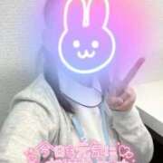 ヒメ日記 2026/01/28 09:34 投稿 しずく 熊本しこたまクリニック