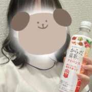 ヒメ日記 2026/02/15 19:23 投稿 しずく 熊本しこたまクリニック