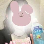 ヒメ日記 2026/02/16 11:33 投稿 しずく 熊本しこたまクリニック