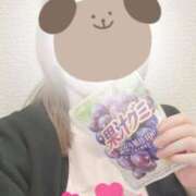 ヒメ日記 2026/04/02 16:53 投稿 しずく 熊本しこたまクリニック