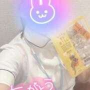 ヒメ日記 2026/04/27 19:43 投稿 しずく 熊本しこたまクリニック（アクセスグループ）