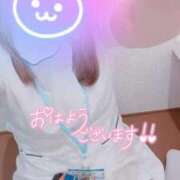 ヒメ日記 2026/07/31 10:44 投稿 しずく 熊本しこたまクリニック（アクセスグループ）