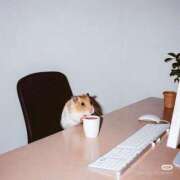 ヒメ日記 2025/01/05 05:11 投稿 さえ G-STAGE（京都グループ）