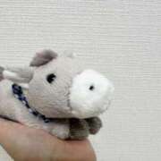 ヒメ日記 2025/01/14 16:02 投稿 さえ G-STAGE（京都グループ）