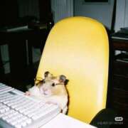 ヒメ日記 2025/01/17 17:20 投稿 さえ G-STAGE（京都グループ）