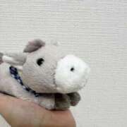 ヒメ日記 2025/01/22 08:27 投稿 さえ G-STAGE（京都グループ）