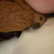 ヒメ日記 2025/02/04 18:49 投稿 さえ G-STAGE（京都グループ）