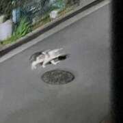 ヒメ日記 2025/03/06 17:59 投稿 さえ G-STAGE（京都グループ）