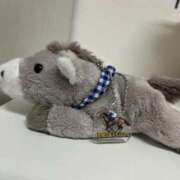 ヒメ日記 2025/03/13 15:19 投稿 さえ G-STAGE