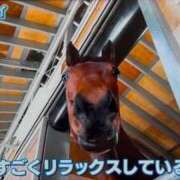 ヒメ日記 2025/04/05 16:13 投稿 さえ G-STAGE