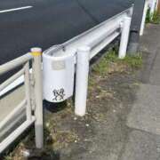 ヒメ日記 2025/04/10 05:11 投稿 さえ G-STAGE