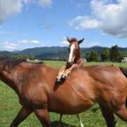 ヒメ日記 2025/04/15 17:03 投稿 さえ G-STAGE