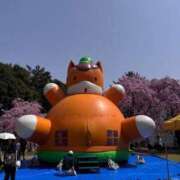 ヒメ日記 2025/04/19 18:59 投稿 さえ G-STAGE