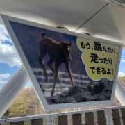 ヒメ日記 2025/04/29 16:29 投稿 さえ G-STAGE