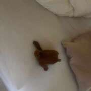 ヒメ日記 2025/05/21 17:19 投稿 さえ G-STAGE