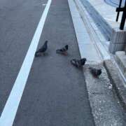 ヒメ日記 2025/05/26 17:57 投稿 さえ G-STAGE