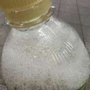 ヒメ日記 2025/05/29 05:29 投稿 さえ G-STAGE