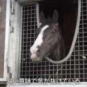 ヒメ日記 2025/06/01 16:19 投稿 さえ G-STAGE