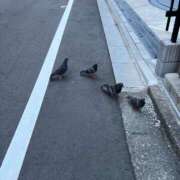 ヒメ日記 2025/06/04 18:10 投稿 さえ G-STAGE