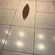 ヒメ日記 2025/08/21 18:29 投稿 さえ G-STAGE