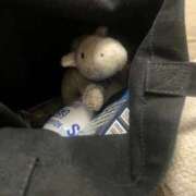 ヒメ日記 2025/08/22 20:19 投稿 さえ G-STAGE