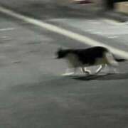 ヒメ日記 2025/08/27 16:10 投稿 さえ G-STAGE