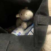 ヒメ日記 2025/08/31 03:19 投稿 さえ G-STAGE